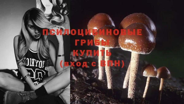 гидра Верхнеуральск
