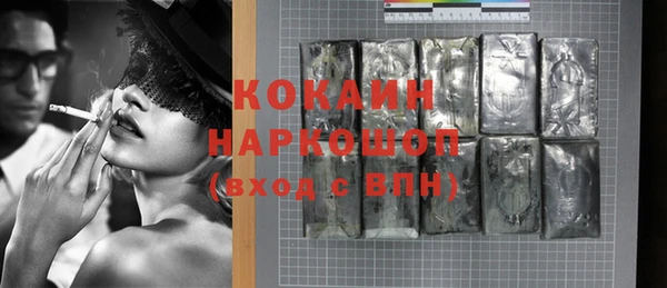 дживик Бородино